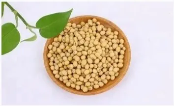 Proteína Texturizada Nutritiva Procesamiento Carne Proteína Soja Aislada